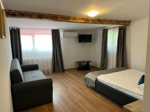 een slaapkamer met een bed, een bank en een televisie bij Casa Someseana in Gîlgău