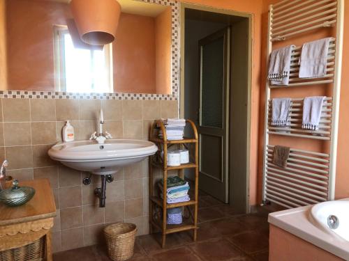 uma casa de banho com um lavatório e um espelho em Casa Matilde em San Benedetto Po