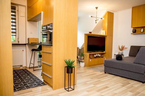 a living room with a couch and a tv at Rose Gold Apartment in Zalaegerszeg