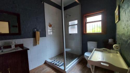 a bathroom with a shower and a toilet and a sink at Bluebell Barn in Dullstroom