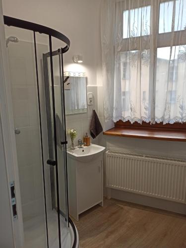 uma casa de banho com um chuveiro, um lavatório e uma janela em Cztery Kąty w Rynku em Wałbrzych