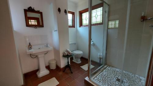 a bathroom with a shower and a toilet and a sink at Bluebell Cottage in Dullstroom