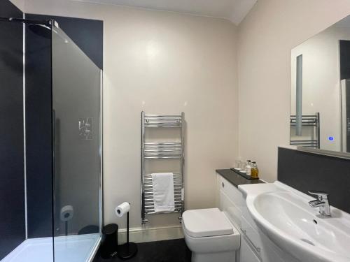 een badkamer met een wastafel, een toilet en een douche bij Bwch yn Uchaf B&B in Llanuwchllyn