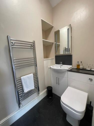 a bathroom with a white toilet and a sink at Bwch yn Uchaf B&B in Llanuwchllyn