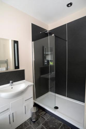 a bathroom with a shower and a sink at Bwch yn Uchaf B&B in Llanuwchllyn