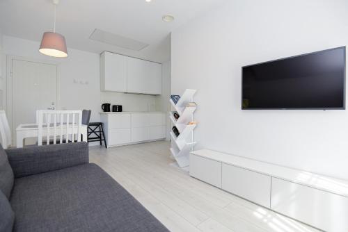 a living room with a couch and a television on a wall at Apartment Amber White in Nida