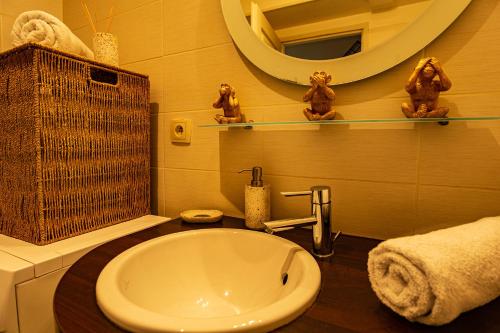 ein Bad mit einem Waschbecken und einem Spiegel in der Unterkunft 15 Rhône beau T2 avec parking gratuit in Annecy