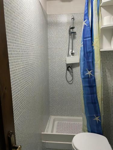 bagno con doccia e servizi igienici. di Appartamento Santi a Fiumalbo