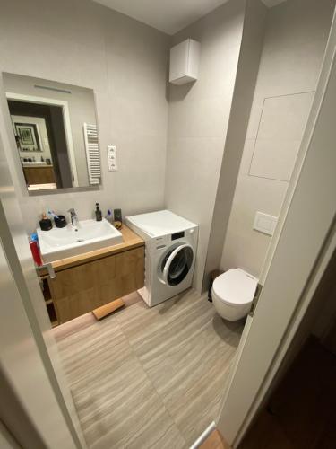 a bathroom with a washing machine and a sink at Premium Lelle Waterfront Resort Bonnie in Balatonlelle