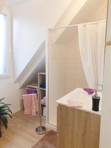 une salle de bain avec un lavabo et une douche dans l'établissement Les Epinettes chambres d'hôtes, à Crèvecoeur-le-Grand