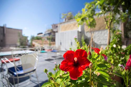 Lovely two-bedroom apartment with roof garden! EP7