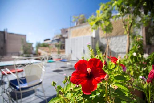 a red flower on a balcony with a boat at Lovely, central, private balconies, roof garden! - EP7 in Athens