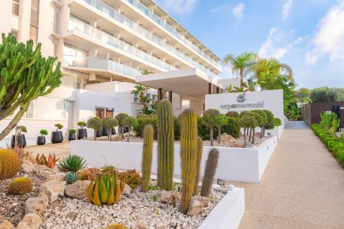 a cactus garden in front of a building at Napa Mermaid Hotel & Suites in Ayia Napa