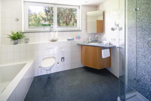een badkamer met een wastafel, een toilet en een douche bij Kurviertel Wohnung I in Überlingen