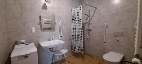 a bathroom with a sink and a shower and a toilet at Apartament Nad Stawem in Powidz
