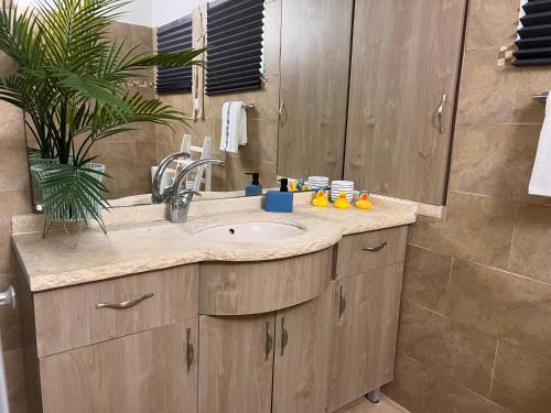 ein Badezimmer mit einem Waschbecken und einer Topfpflanze in der Unterkunft KINGDOM of the Dead Sea by CROWN in Neve Zohar