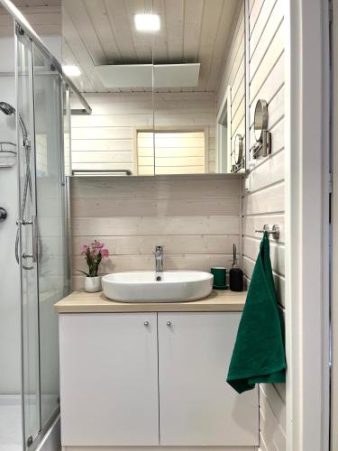 a bathroom with a sink and a shower at Exklusives Ferienhaus Rybak mit Boxspringbetten direkt am Steinhuder Meer in Wunstorf