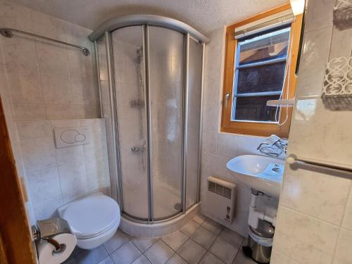 a bathroom with a shower and a toilet and a sink at Walliserhüs WH0 in Blatten bei Naters