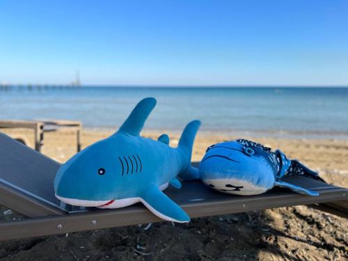 a stuffed shark laying on a bench at the beach at Your Four Seasons in Boğaz