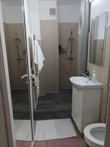a bathroom with a shower and a sink and a toilet at Soft Apartments in Galaţi