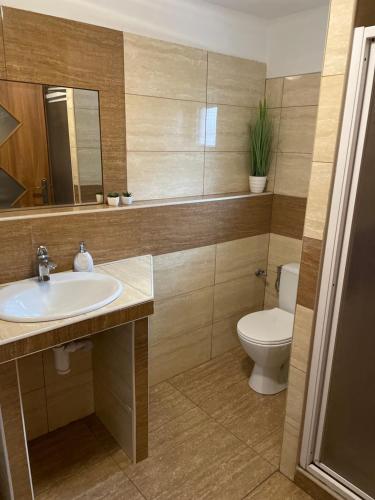 a bathroom with a sink and a toilet at Apartments Ve dvoře in Velké Karlovice