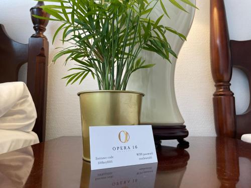 a plant in a vase sitting on a table at OPERA16 Guestrooms in Budapest