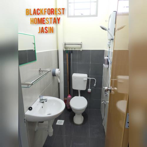 ein Badezimmer mit einem weißen WC und einem Waschbecken in der Unterkunft HOMESTAY JASIN BLACKFOREST in Jasin