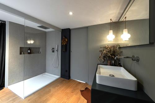 une salle de bain avec un lavabo et une douche dans l'établissement LE LOFT ETHNIC - avec jolie vue sur la Saône, à Lyon