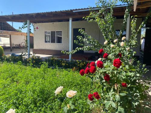 Zahrada ubytování Guest House KAGAN