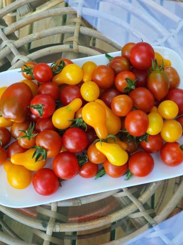 a plate of tomatoes and lemons on a table at A l'Ecole Buissonnière, chambre d'hôtes en Sidobre in Lacrouzette