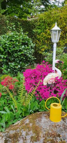 a garden with pink flowers and a street light at A l'Ecole Buissonnière, chambre d'hôtes en Sidobre in Lacrouzette