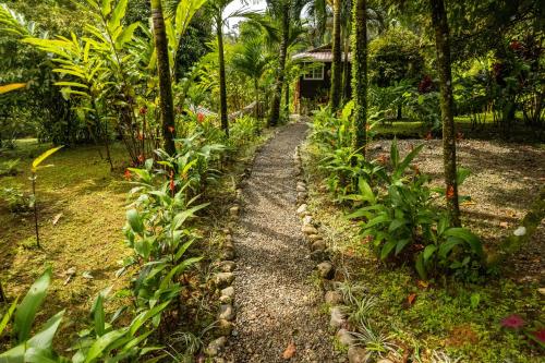 Jardín al aire libre en Bluff Hidden Paradise