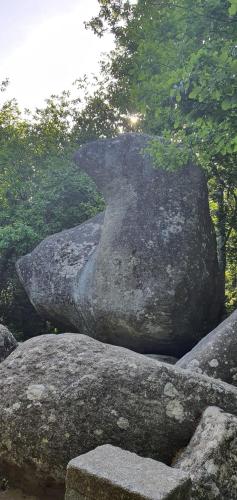 a large rock sitting on top of some rocks at A l'Ecole Buissonnière, chambre d'hôtes en Sidobre in Lacrouzette
