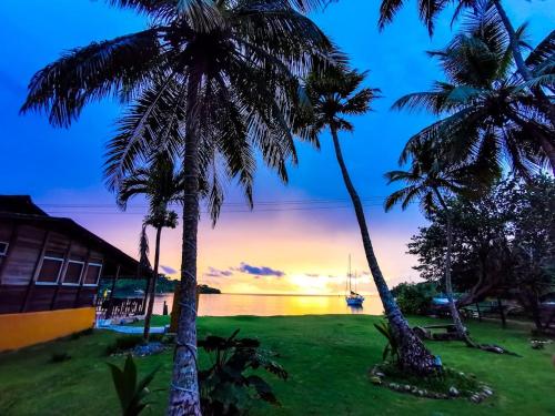 eine Gruppe von Palmen mit einem Sonnenuntergang im Hintergrund in der Unterkunft Cafe del Mar Sapzurro in Zapzurro
