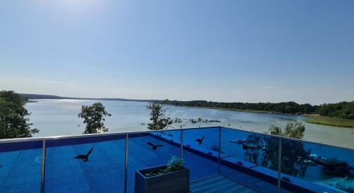 een balkon met uitzicht op een rivier met dolfijnen bij Apartamenty Aquarius Gold Boszkowo in Boszkowo