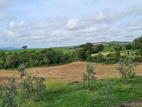 an open field with trees in the distance at Casa Carpineta in Manciano