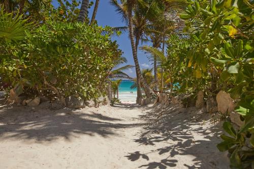 Dos Ceibas Tulum Feel Good Hotel en Tulum