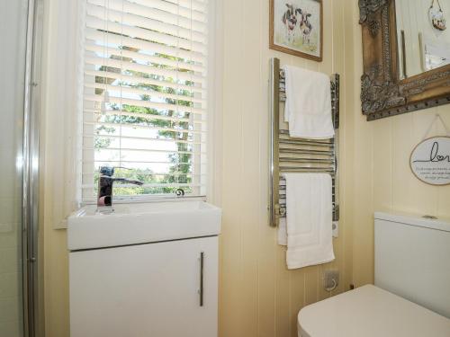 a bathroom with a sink and a toilet and a window at Orchard Retreat in Crediton