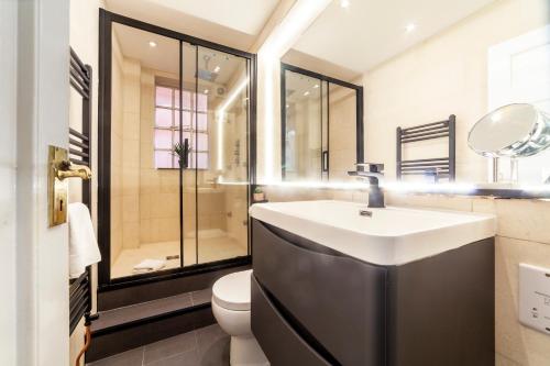 倫敦的住宿－Lovely 1BDR flat in the Heart of London - Mayfair，一间带水槽和卫生间的浴室