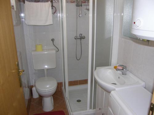 a bathroom with a shower and a toilet and a sink at Apartment Haramina in Baška