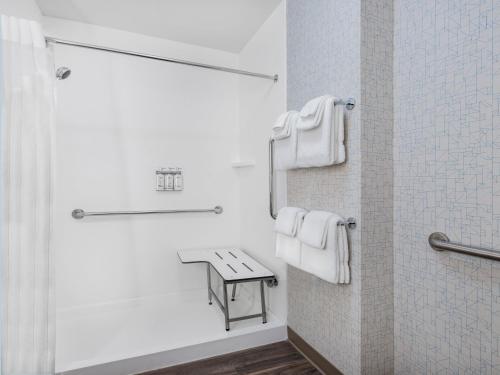 a bathroom with a shower and a bench in it at Holiday Inn Express & Suites - Ruskin by IHG in Ruskin