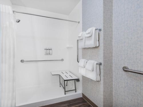 a bathroom with a shower and a bench in it at Holiday Inn Express & Suites - Ruskin, an IHG Hotel in Ruskin
