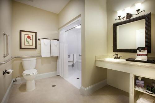 a bathroom with a toilet and a sink and a mirror at Grant Street Inn - Bloomington in Bloomington