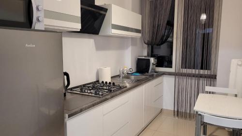 Kuchyň nebo kuchyňský kout v ubytování Apartament Tuwima