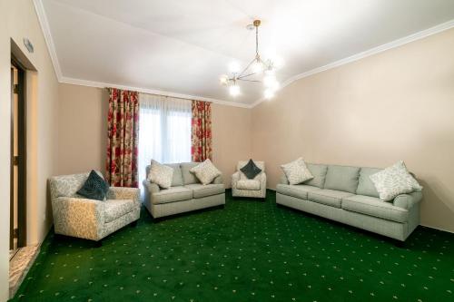 a living room with two couches and a green carpet at Hanul lui Mihai in Răstoaca
