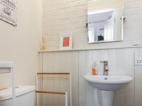W łazience znajduje się umywalka i lustro. w obiekcie College View 2 Lower w mieście Kingswear