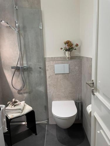 ein Bad mit einer Dusche, einem WC und einer Dusche in der Unterkunft Garden View Apartment in Bad Segeberg