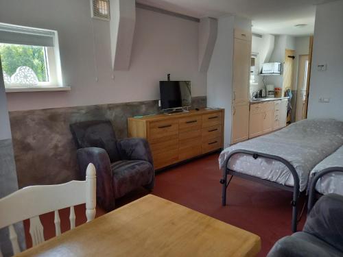 a bedroom with a bed and a chair and a tv at Stal Zwartschaap in Stuifzand