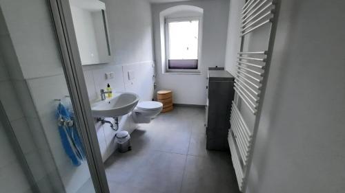 uma casa de banho com um lavatório, um WC e uma janela. em Fewo Böhle in Hainichen em Hainichen