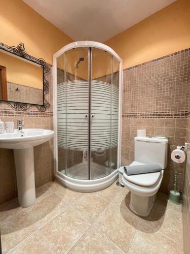 a bathroom with a shower and a toilet and a sink at LaFrenchTouch - Escapada rural en una coqueta casa in Villanueva de Tapia
